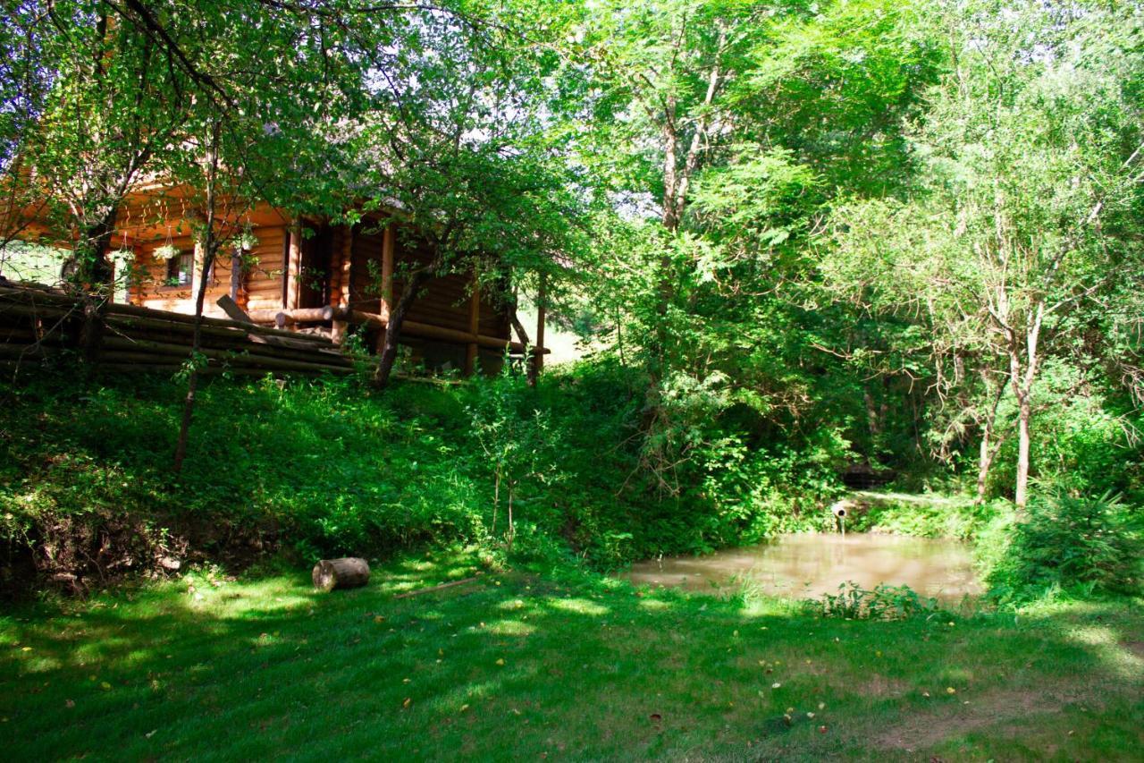 Тихий Куточок Villa Izki Ngoại thất bức ảnh